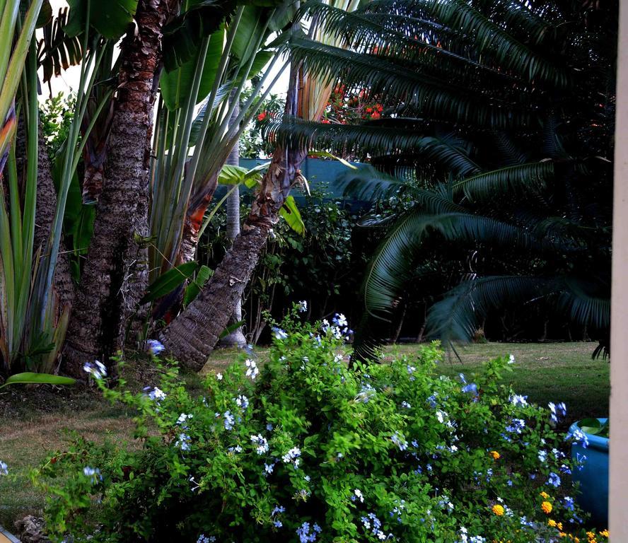 Habitation De L'Anse Mancenillier Villa Saint-Francois  Szoba fotó