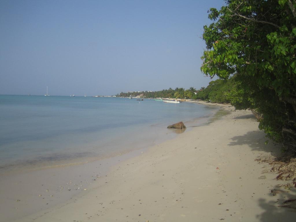 Habitation De L'Anse Mancenillier Villa Saint-Francois  Szoba fotó